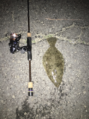 初フラットフィッシュ(アジング＆メバリング…