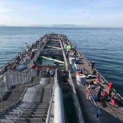 子供と一緒釣行