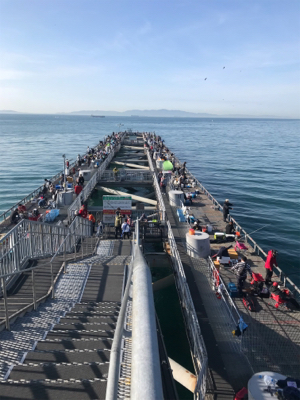 子供と一緒釣行