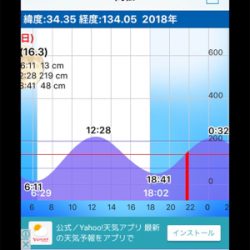 メバルフロートゲーム