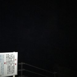 夏泊港 フカセ夜釣り 沈黙。。。