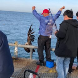 ノマセがダメでも大イワシGET！