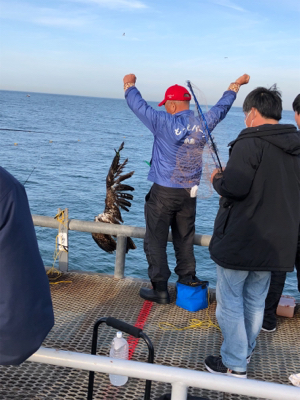 ノマセがダメでも大イワシGET！