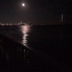 何とかメバリング②