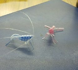 やっぱり穴釣り