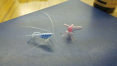 やっぱり穴釣り