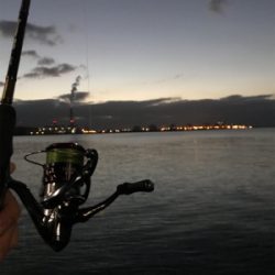 日が悪かった…