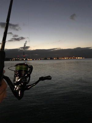 日が悪かった…