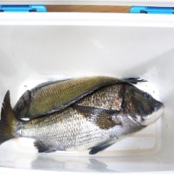 久し振りの垂水一文字