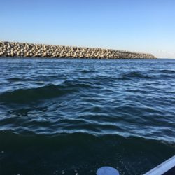 釣り人家ロックフィッシュショート便