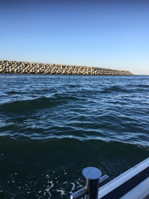 釣り人家ロックフィッシュショート便