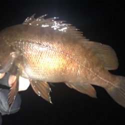 昨年のこの時期を再現できるか？