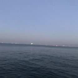 何とかシーバスゲット