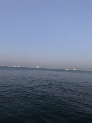 何とかシーバスゲット