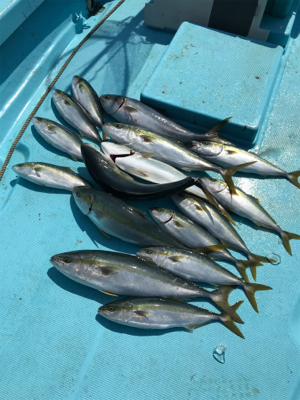 スロージギング