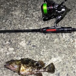 ガッシーに癒されましたー