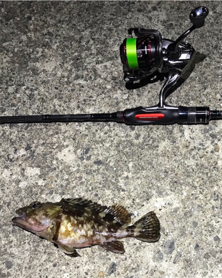 ガッシーに癒されましたー