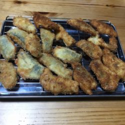サビキ釣果