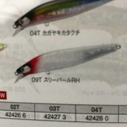 ナイトウェーディング