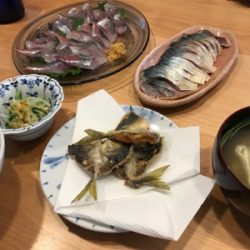 アジとサバたくさん