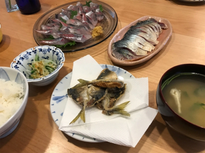 アジとサバたくさん