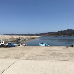 ラッキー!チヌ2枚!