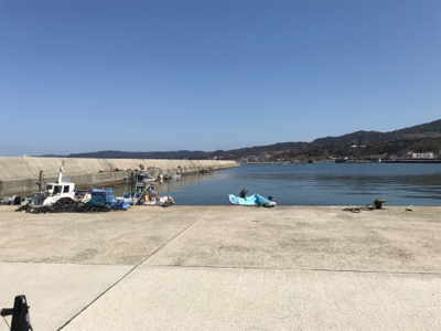 ラッキー!チヌ2枚!