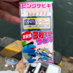 サビキ釣り！今日はファミリーフィッシング