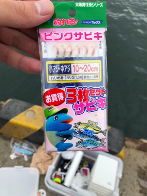 サビキ釣り！今日はファミリーフィッシング