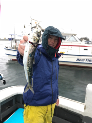 victoryⅡにてタイラバ