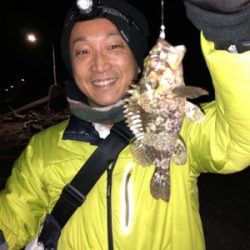 メバリングナイトゲーム♪シーバシング♪