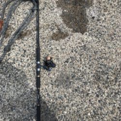 ショアジギングで