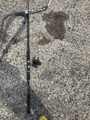 ショアジギングで