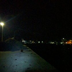 松江・多古のメバリング