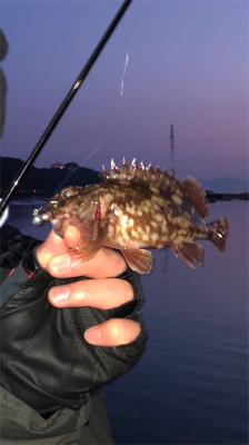 デビュー戦@福良