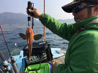 マイボートで丹後沖でジギング、タイラバ