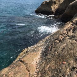 沖ノ島フカセグレ