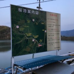 桜花トップウォーター