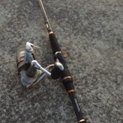 シーバスゲット！