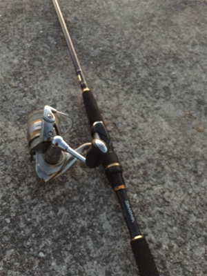 シーバスゲット！