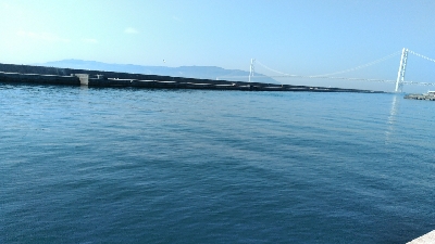 コブダイ釣りにかかったアイナメ