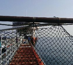 今年最初のカレイ