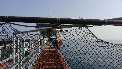 今年最初のカレイ