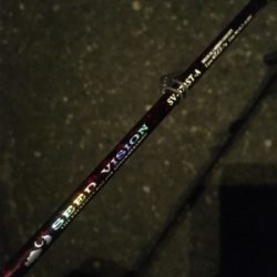 満潮前は絶好調！