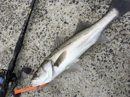 荒天ランガンプラッギング