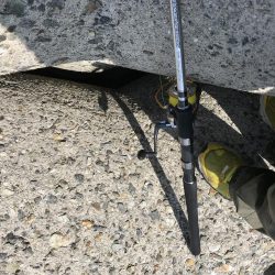 スズキゲット！