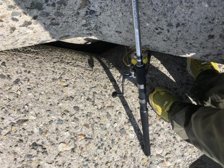 スズキゲット！