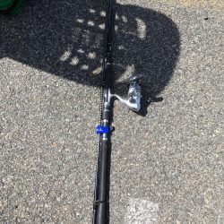 銀ピカシーバス