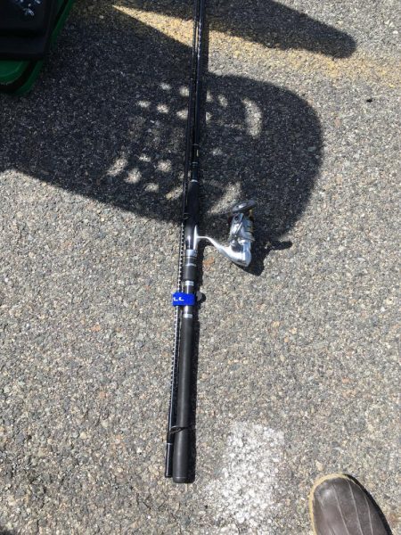 銀ピカシーバス