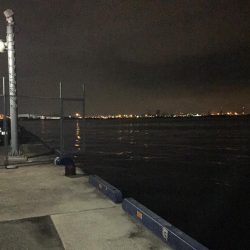 チーバスゲット！